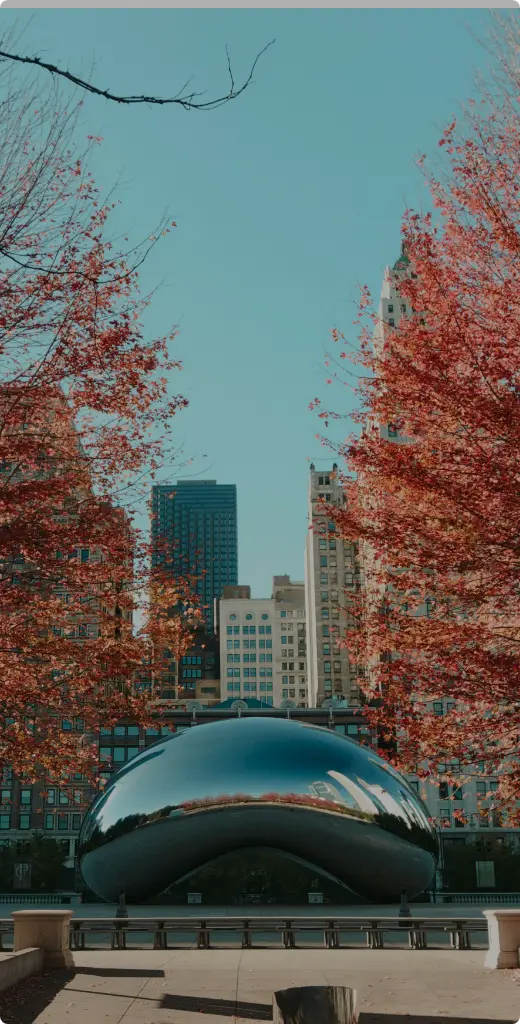 Chicago skyline in autumn with red and orange foliage in the foreground