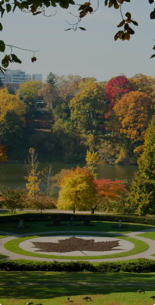 Aerial view of autumn foliage in high park Toronto