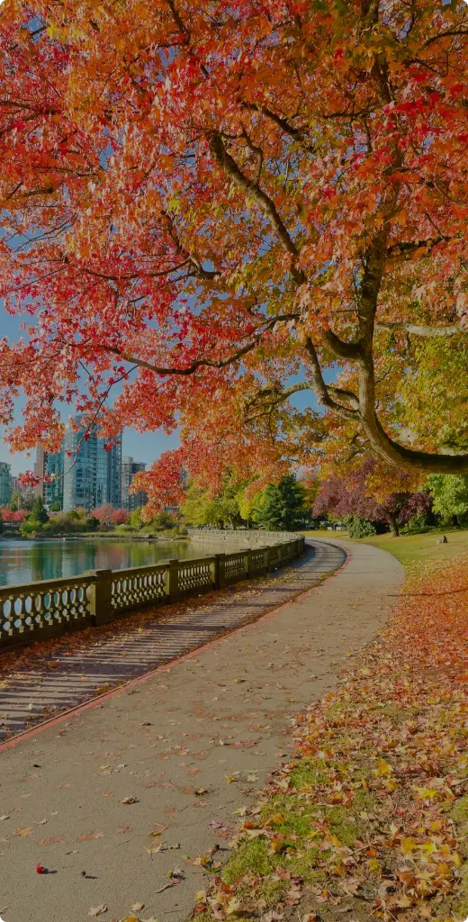 Autumn foliage in a park with a pathway in Vancouver, Canada